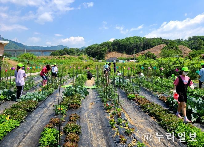 대아초등학교 환경교육