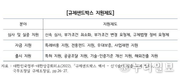 규제샌드박스 지원제도