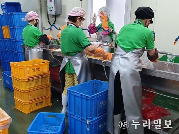 대구광역시, 추석 명절 점검결과 위반업소 3개소 적발!