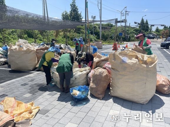 농촌폐비닐 집중 수거 및 분류 작업