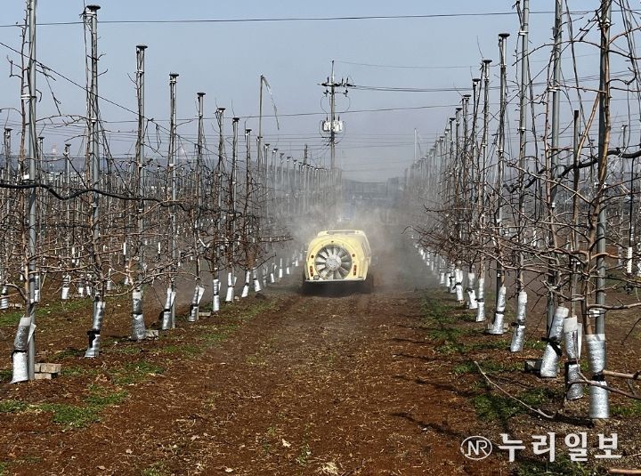 적용 농약 살포(사과)