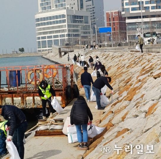 연안 정화의 날