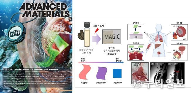 대구시 케이메디허브, ‘Advanced Materials’ 표지 논문 선정