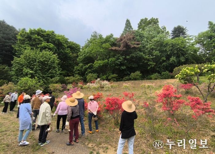 남양주풍양보건소, ‘치매 가족 힐링 프로그램’ 운영