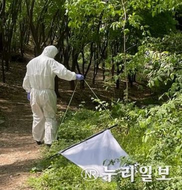 진드기 매개 감염병 예방수칙 및 진드기 채집 사진