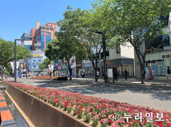 대구시 5월, 꽃이 아름다운 곳으로 떠나보자