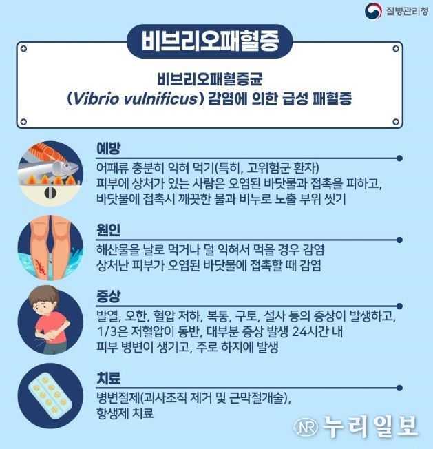 비브리오패혈증 예방 안내문