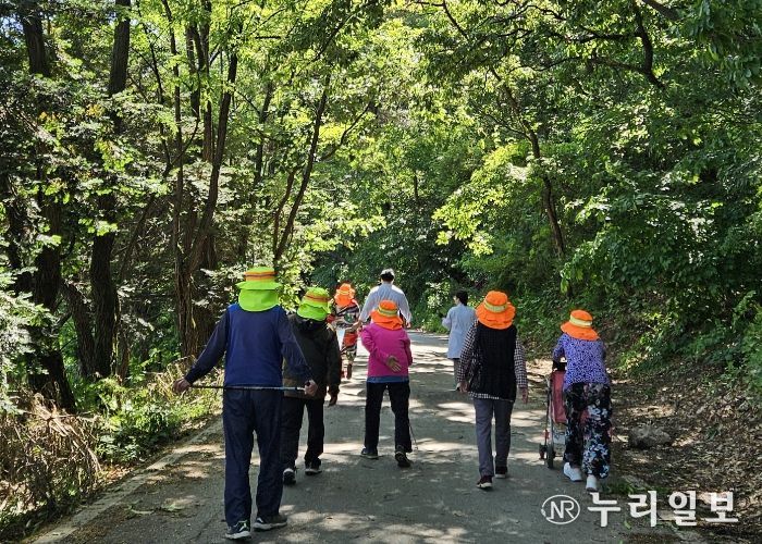 여주시보건소, 홀몸어르신 프로그램 '햇빛 나들이' 운영