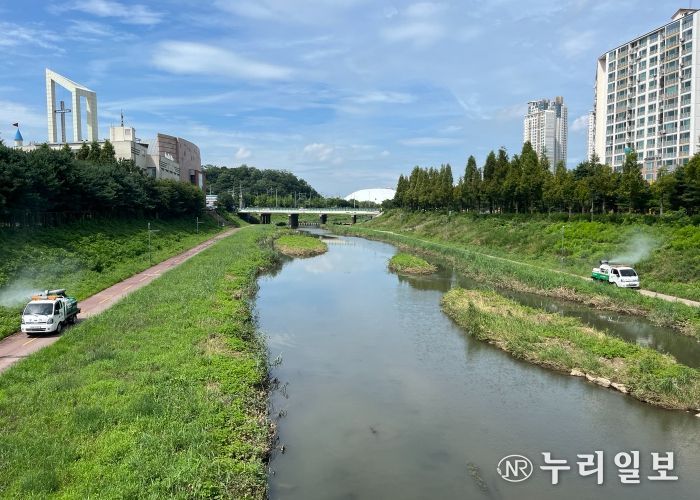 안산시, 선제적 방역 활동으로 여름철 모기 퇴치 앞장선다