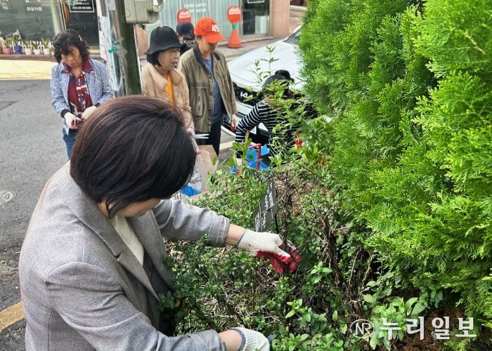 장안구 정자2동, 손바닥정원 유지관리활동 실시