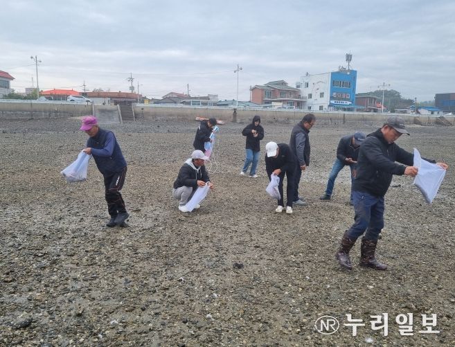 충남도 ‘지역 특산’ 어린 바지락 100만 마리 방류
