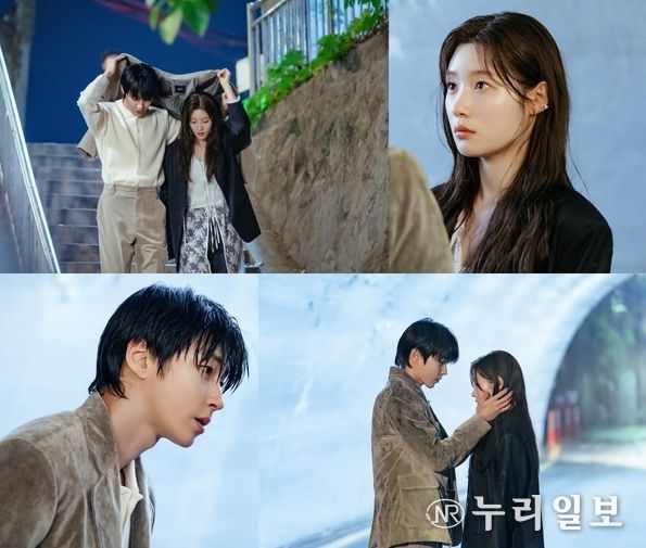 사진 제공: 하이지음스튜디오, 베이스스토리, SLL