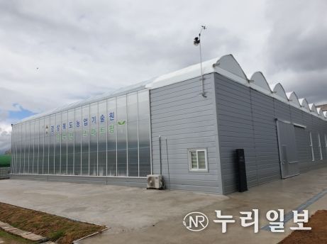 경북도, 오이 스마트온실 연중 안정생산 표준 재배모델 개발
