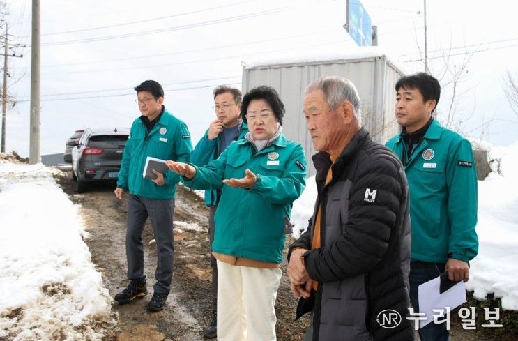 대설 피해 관련 피해조사 및 복구