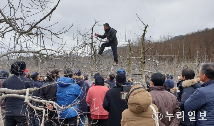 대구농업기술센터, 2025년 새해농업인실용교육 실시