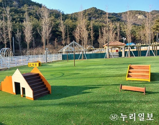 고창군 반려동물 놀이시설