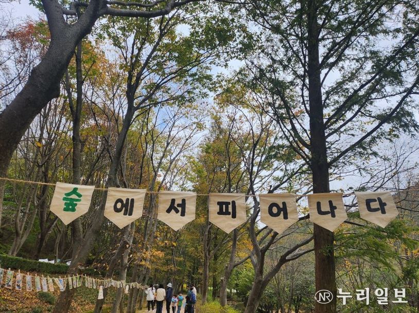 2025년 숲해설·유아숲교육 프로그램 운영