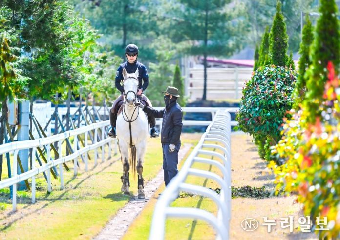 농촌 관광승마 활성화