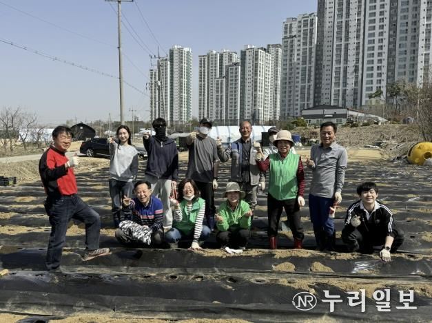 수원시 권선구 구운동 새마을3단체, 사랑의 감자 심기
