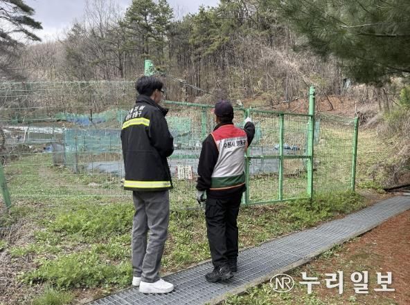 수원시 영통구, 봄철 산림 내 불법행위 집중단속 추진