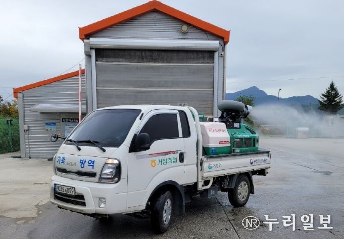 공동방제단 소독