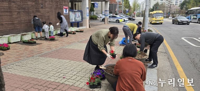 고양시 중산1동 봄맞이 초화 식재, 봄향기 물씬
