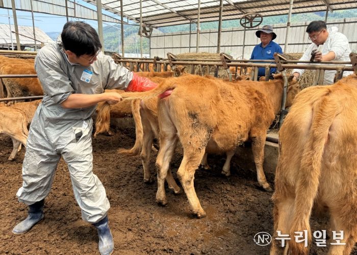 가평군, ‘동물의료지원단’ 올해도 큰 호응 속 진행