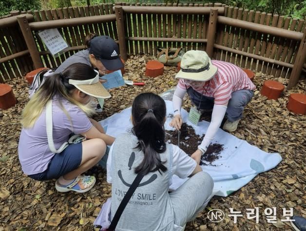 가족 단위 성남 시민들이 남한산성공원에서 흙 속에 있는 벌레를 관찰하고 있다.