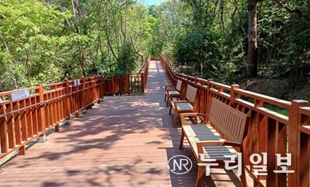 무장애 숲속 산책길 조성