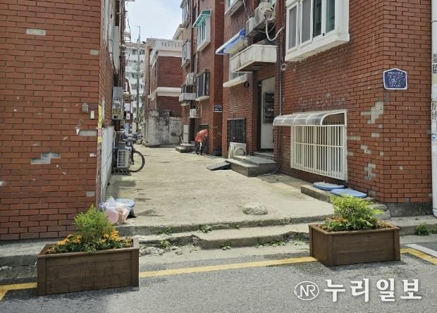 수원시 장안구 송죽동, 무단투기와 불법주차 막는 나무화단 조성