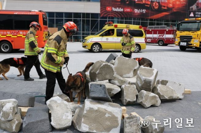 구조견을통한구조대상자수색