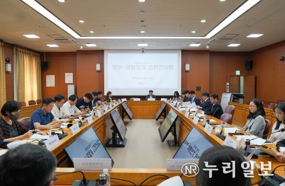 2025년 상반기 정부-여행업계 안전간담회