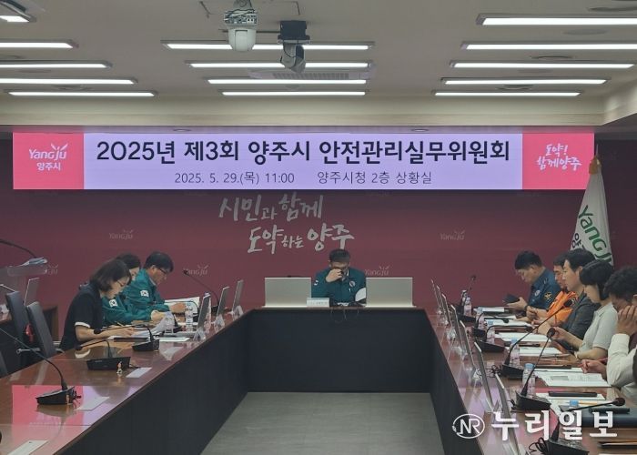양주시, 대표 축제 앞두고 안전관리 ‘총력’ⵈ ‘안전관리실무위원회’ 개최