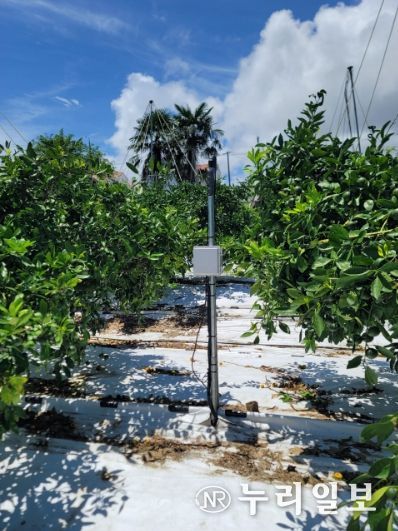 자동관수 시스템