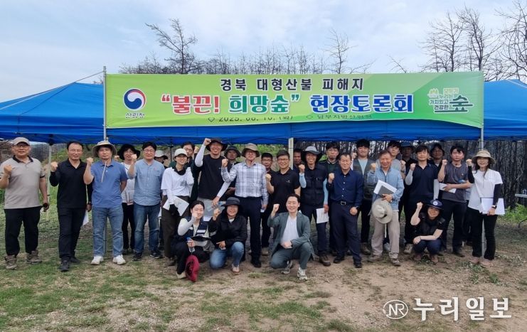 6월10일 안동시 풍천면 어담리 대형산불 피해지에서 남부지방산림청, 국립산림과학원, 국립산림품종관리센터, 경상북도청 등 산림분야 관계기관이 불끈 희망숲 조성 현장토론회를 진행했다.