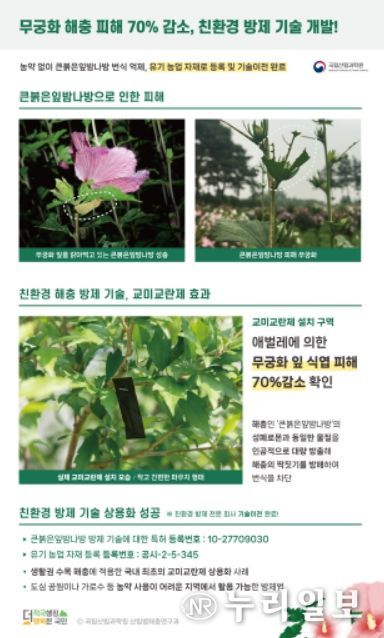 무궁화 해충 페로몬유인제(그래픽)