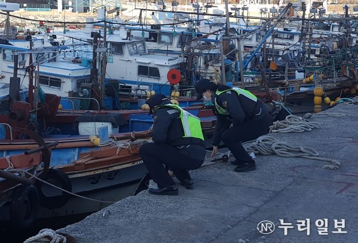 해경경찰관들이 기상악화에 대비하여 어선 등 선박 안전 상태를 점검하고 있다