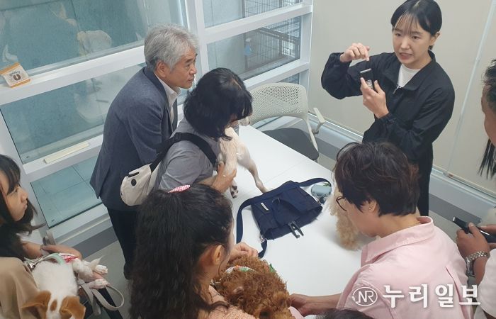 새 가족 만난 유기견들의 특별한 재회 광주광역시 동물보호센터 ‘입양동물 가족의날’