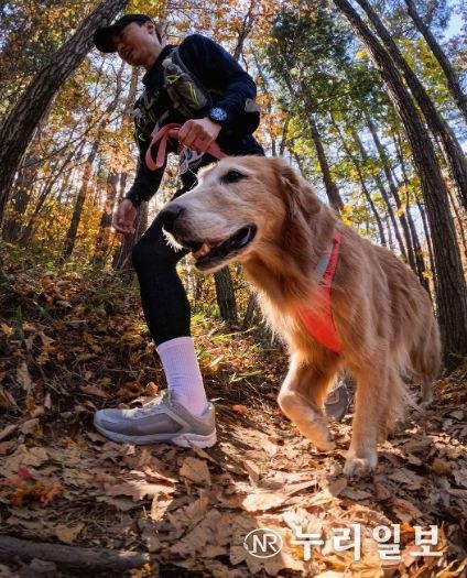 포천시, ‘2025 포천 펫스타’ 10월 25일 개최…한탄강 댕댕트레킹 참가팀 선착순 모집