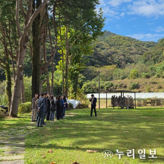강원학생교육원 청소년인생학교, 2025 하반기 초·중·고 교원 역량강화 연수 운영