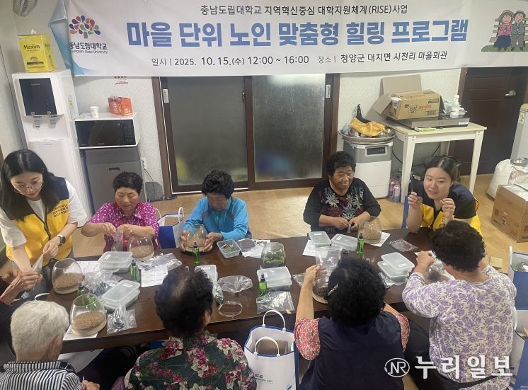 ‘노인 맞춤형 힐링 프로그램’ 운영