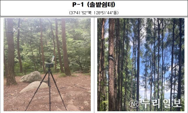 강원특별자치도 보건환경연구원,'강릉솔향수목원' 피톤치드 조사