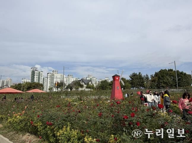 2025년 양주나리농원 가을 개장 성황리 종료