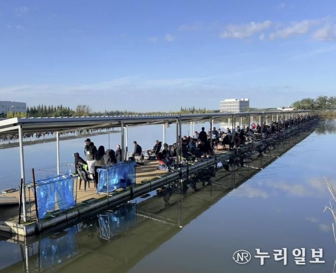 지난 24일 개최된 제16회 화성시장배 전국 민물낚시대회에서 참가자들이 붕어를 낚고 있다