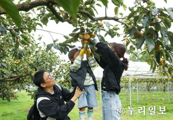 국제농업박람회 풍요의 정원