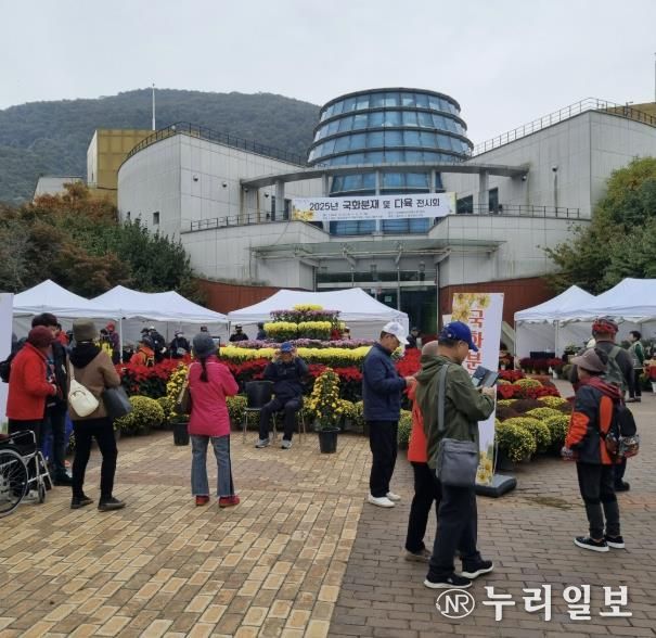동두천시 국화교육반·다육사랑연구회, ‘2025년 국화 및 다육 전시회’ 성황리 개최