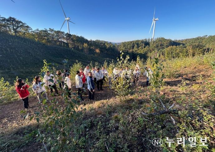 한몽그린벨트사업 한국연수단 견학(목재수확 조림지)