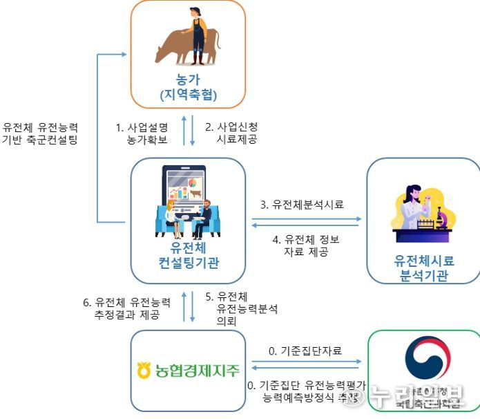 한우 암소 유전체 유전능력 예측 서비스 체계도