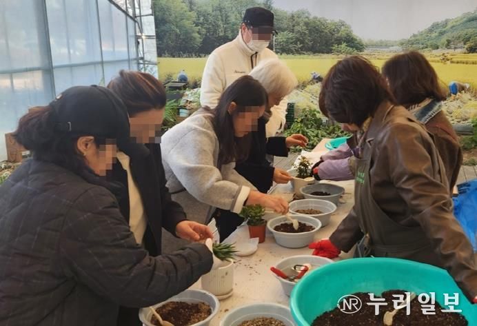 의정부시, ‘반려식물(다육이) 나눔행사’ 시민 호응 속 종료