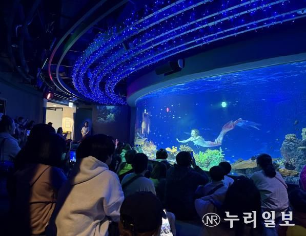 수원특례시 드림스타트 아동·가족이 아쿠아플라넷 관람을 하고 있다.